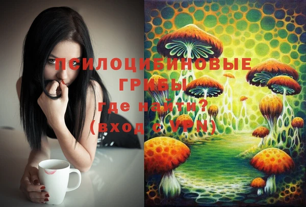 стафф Бородино