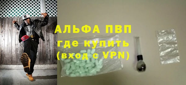стафф Бородино