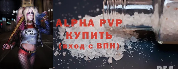 стафф Бородино