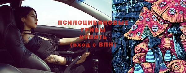 стаф Верхний Тагил