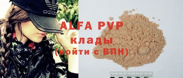 стафф Бородино
