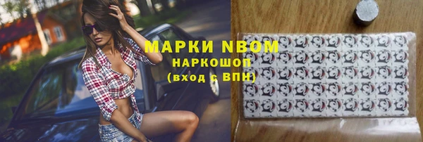 стафф Бородино