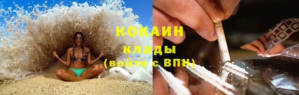 стафф Бородино