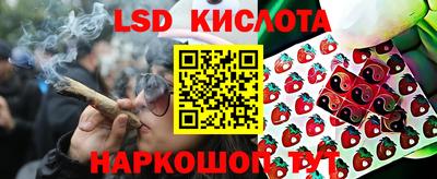 эйфоретик Ачхой-Мартан