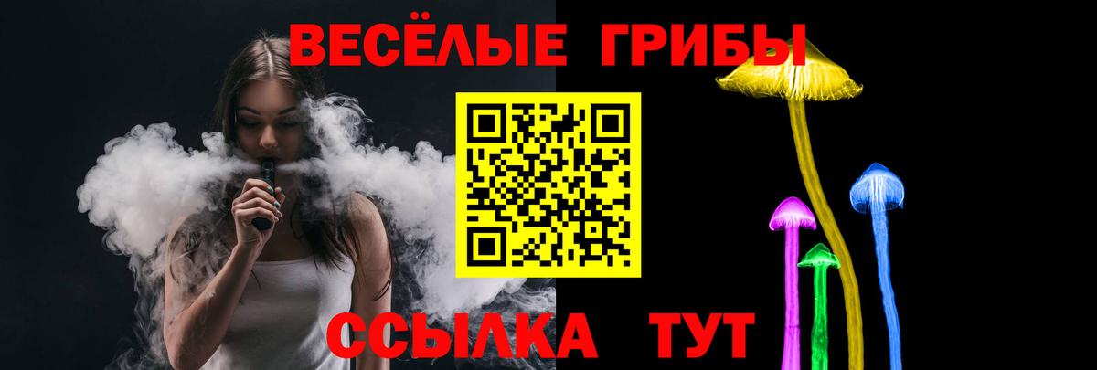 Псилоцибиновые грибы Psilocybine cubensis  Псилоцибиновые грибы мицелий  Выборг  Вход с VPN 